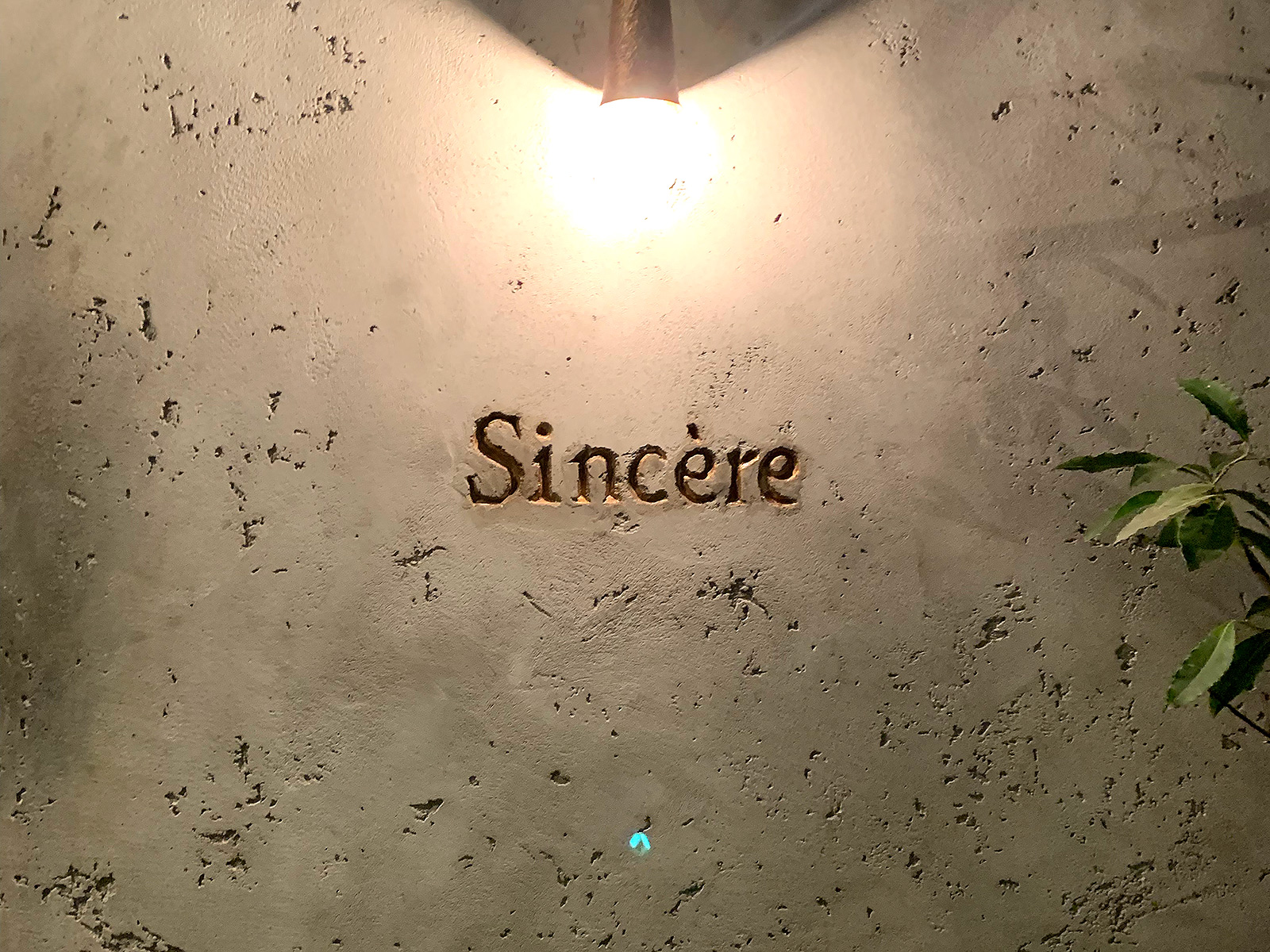 sincere41