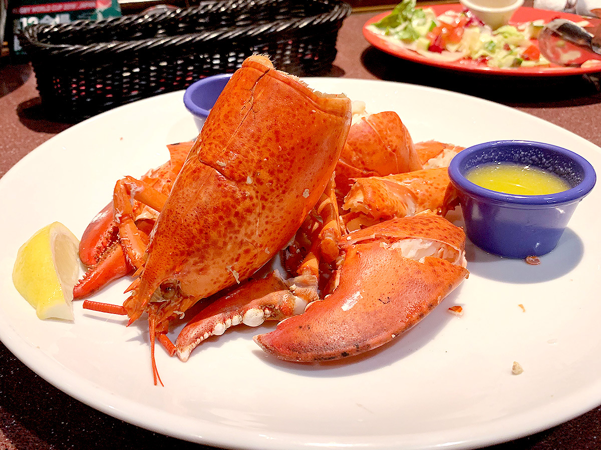 581【台場】お台場の夜景を楽しみながらロブスター！「Red Lobster(レッドロブスター)」