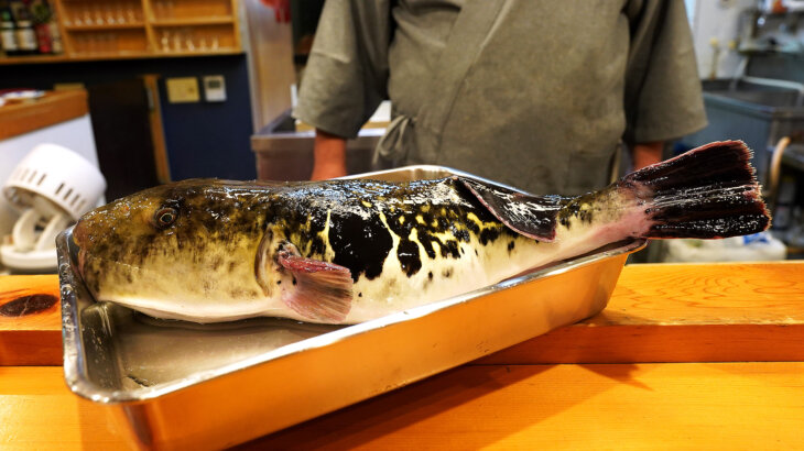【匠】厳選された魚をお腹いっぱい食べられる会員制割烹＠牛込神楽坂