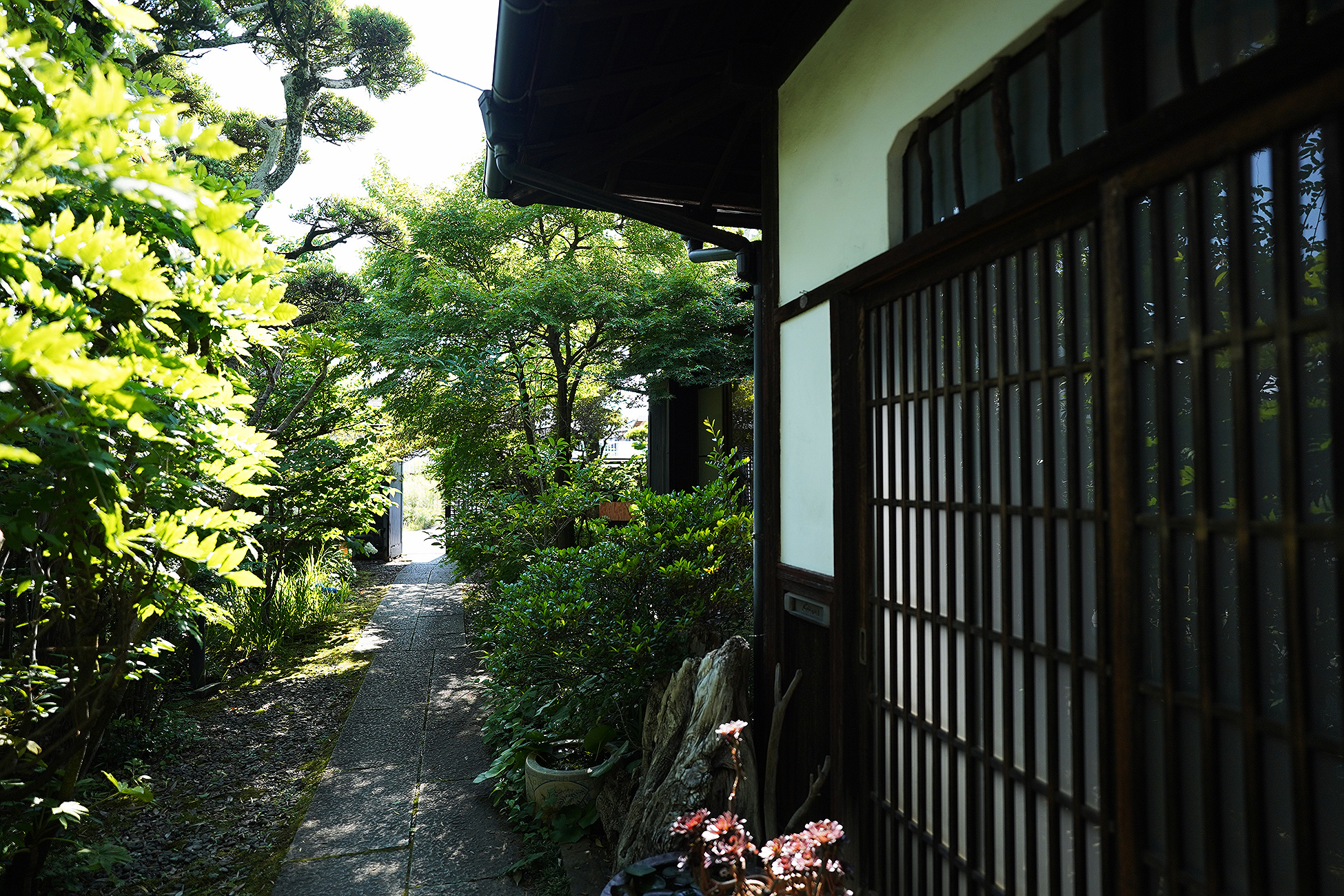 irodoriの建物脇の小径。障子と緑に挟まれた通路